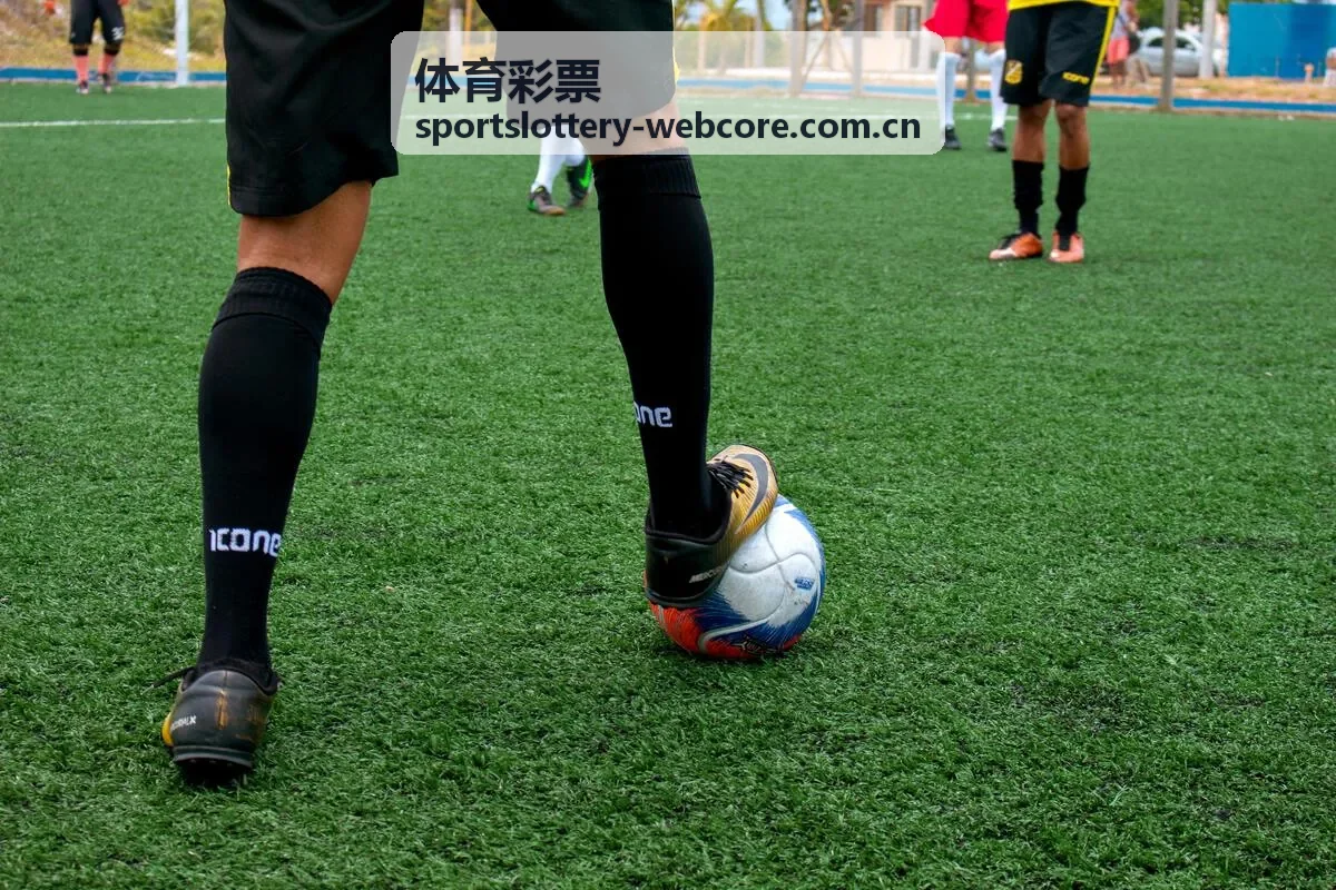 体育彩票公益责任内容封面